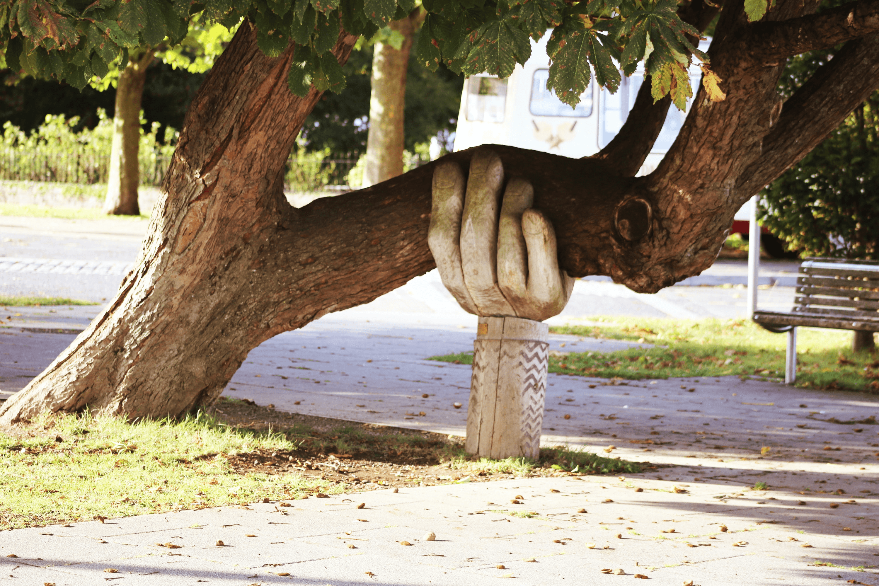 Tree, support, hand.