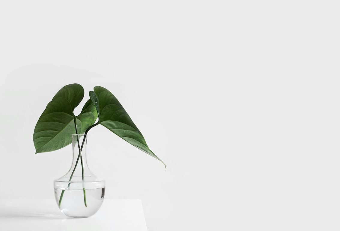 brand values, brand strategy