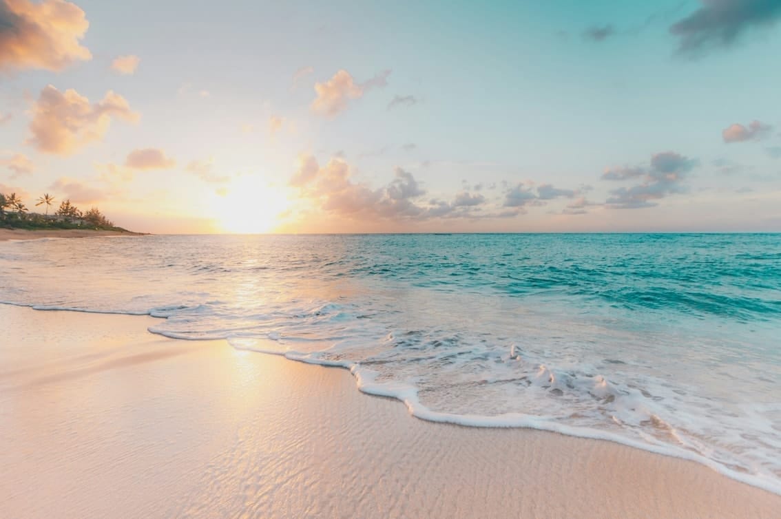 hotel, resort, beach, attend hospitality events,  industry leaders, business