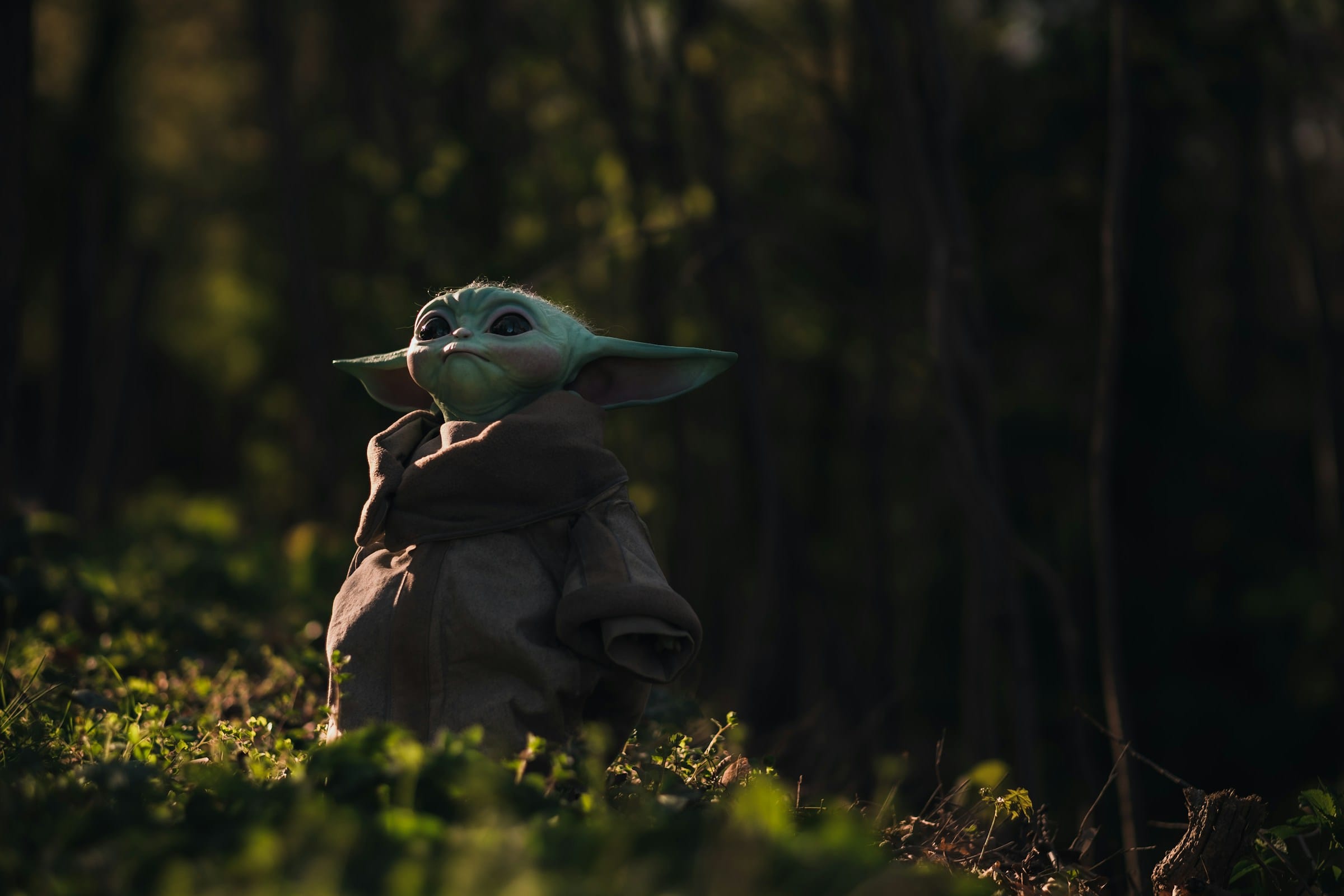Green creature standing in a forest, wearing a robe.
