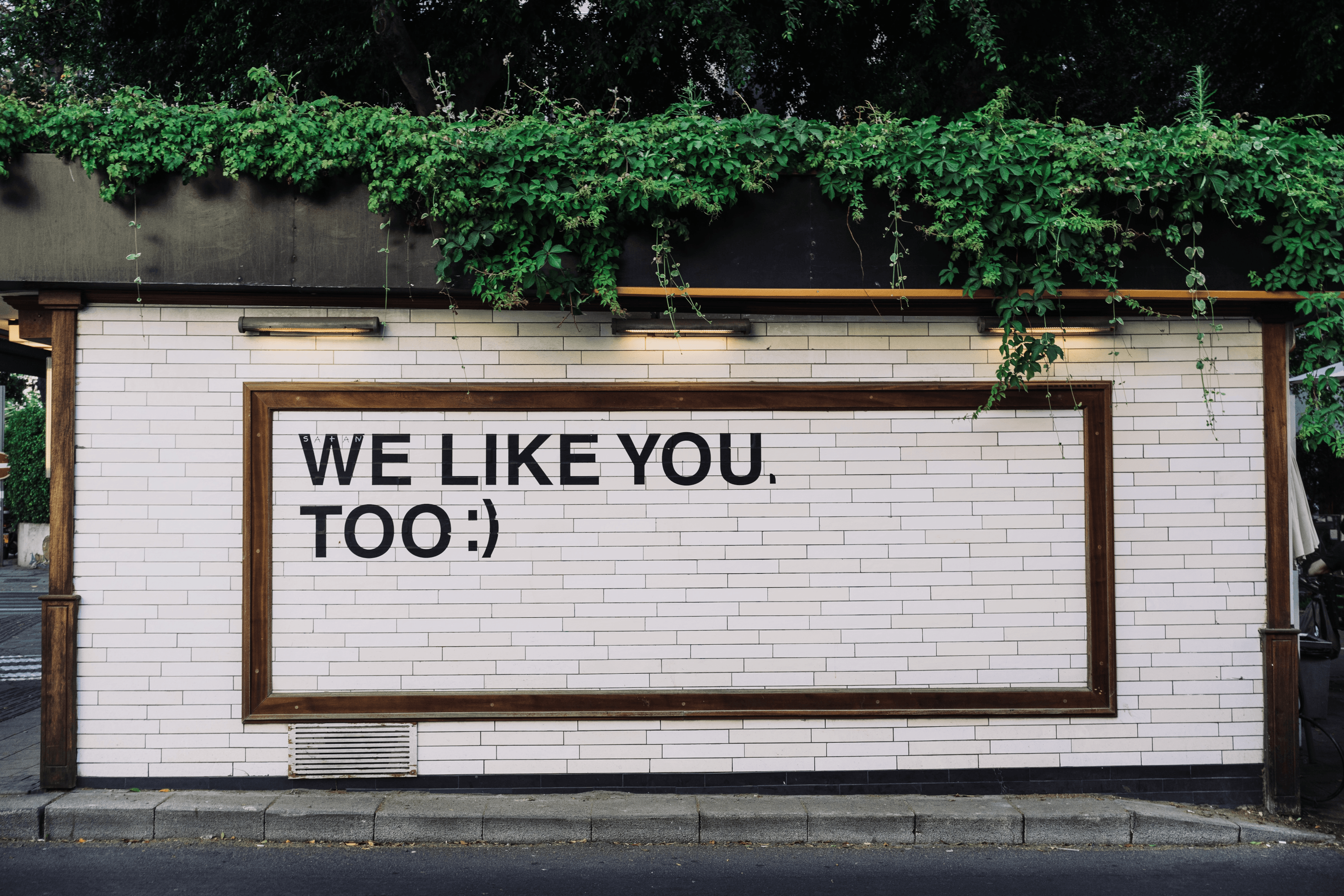 Text, wall, we like you too.