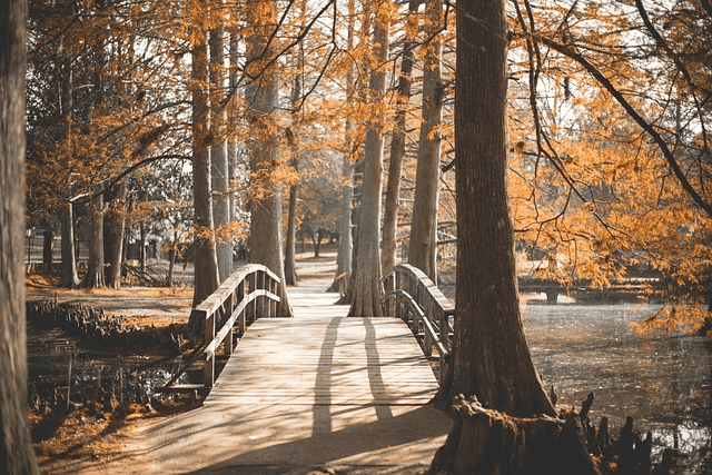 bridge, park, outside