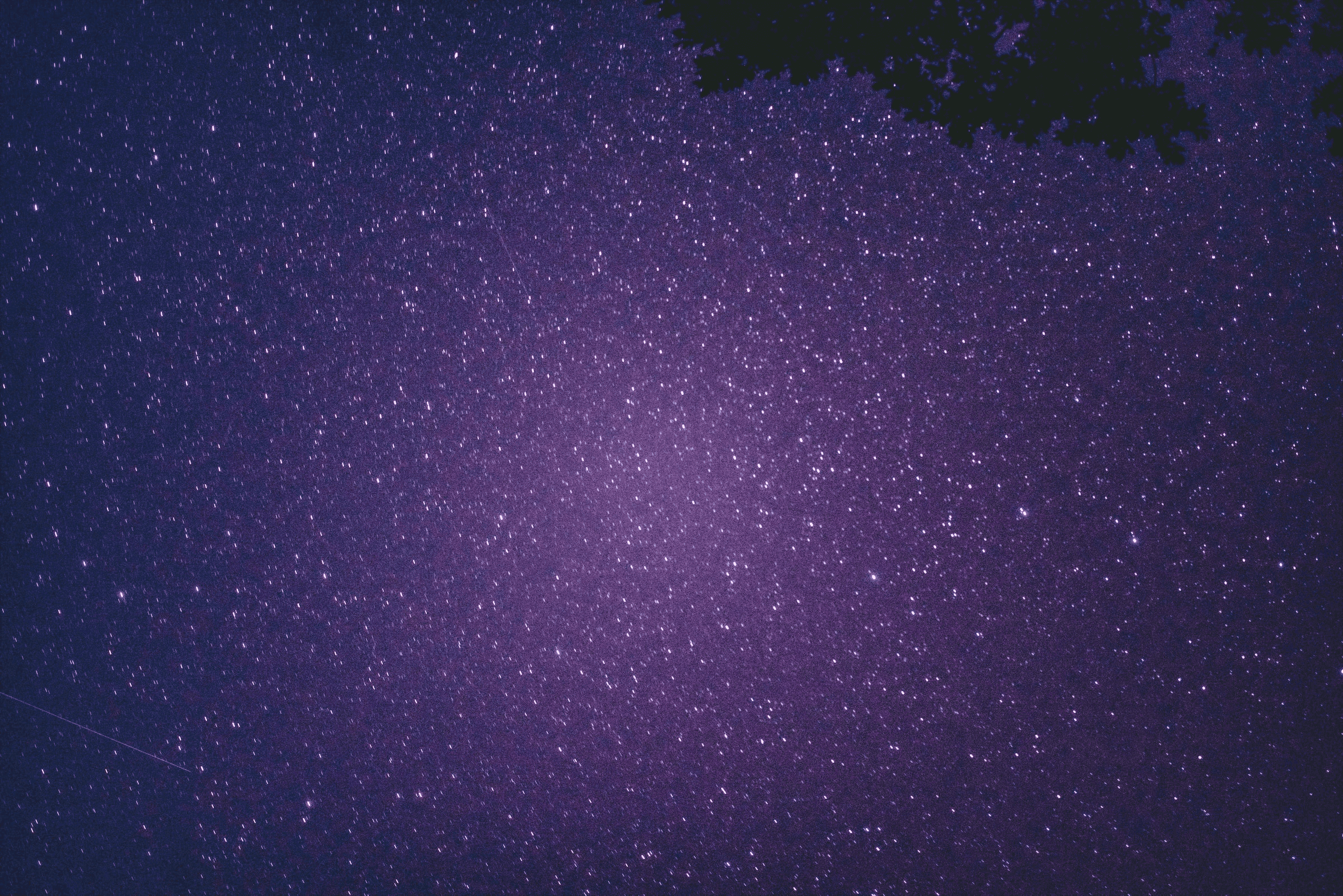 Stars.