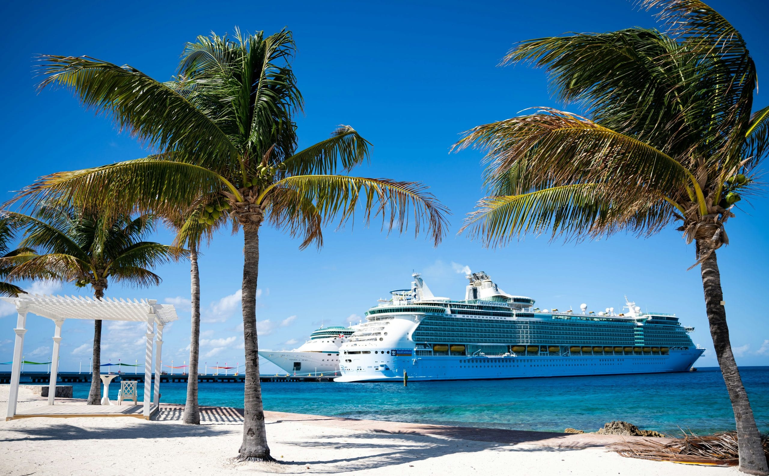 Cruise ship docked on tropical beach with palm trees.