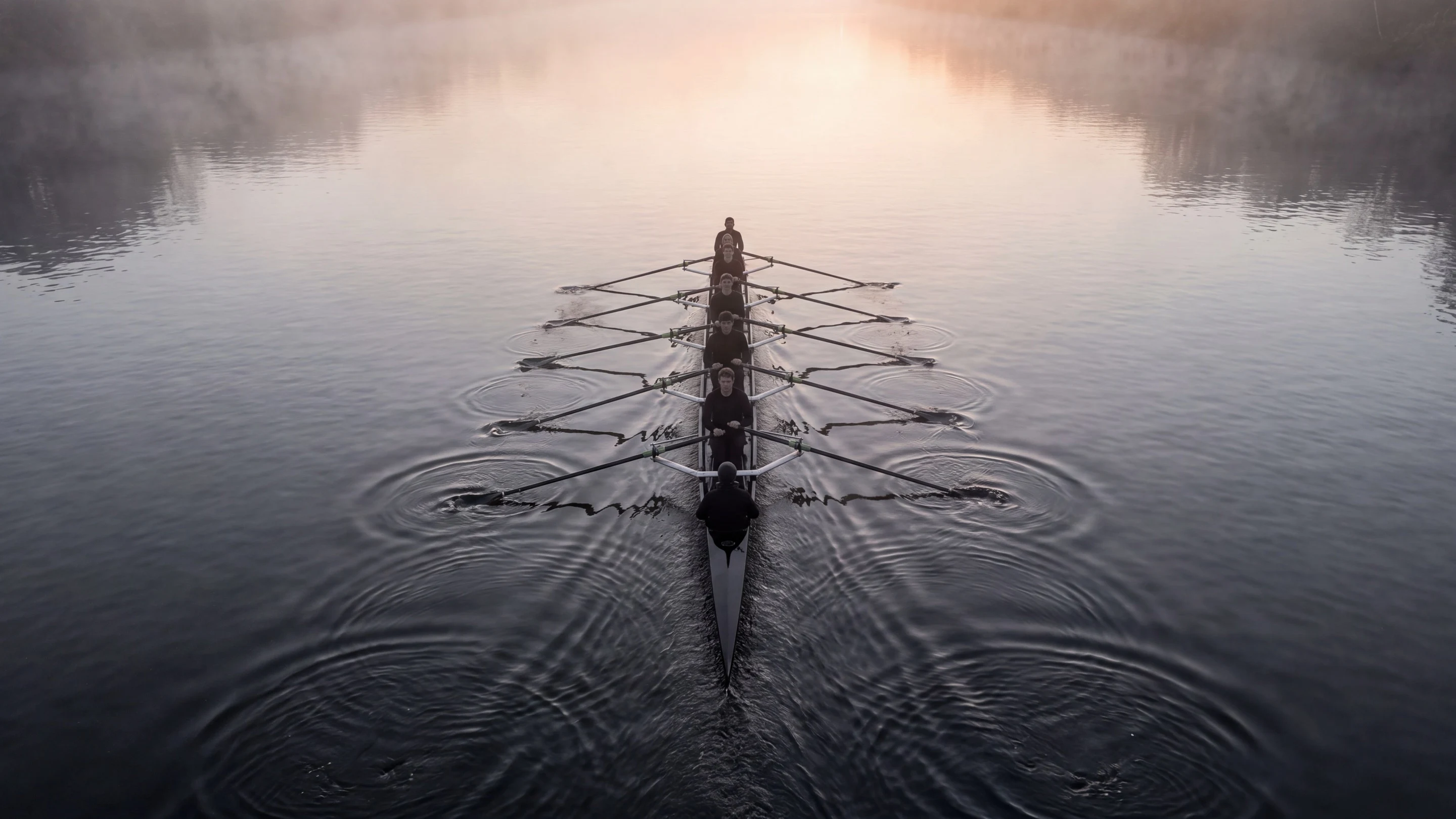 An eight-person rowing crew from above at dawn, every oar entering still water at the same moment